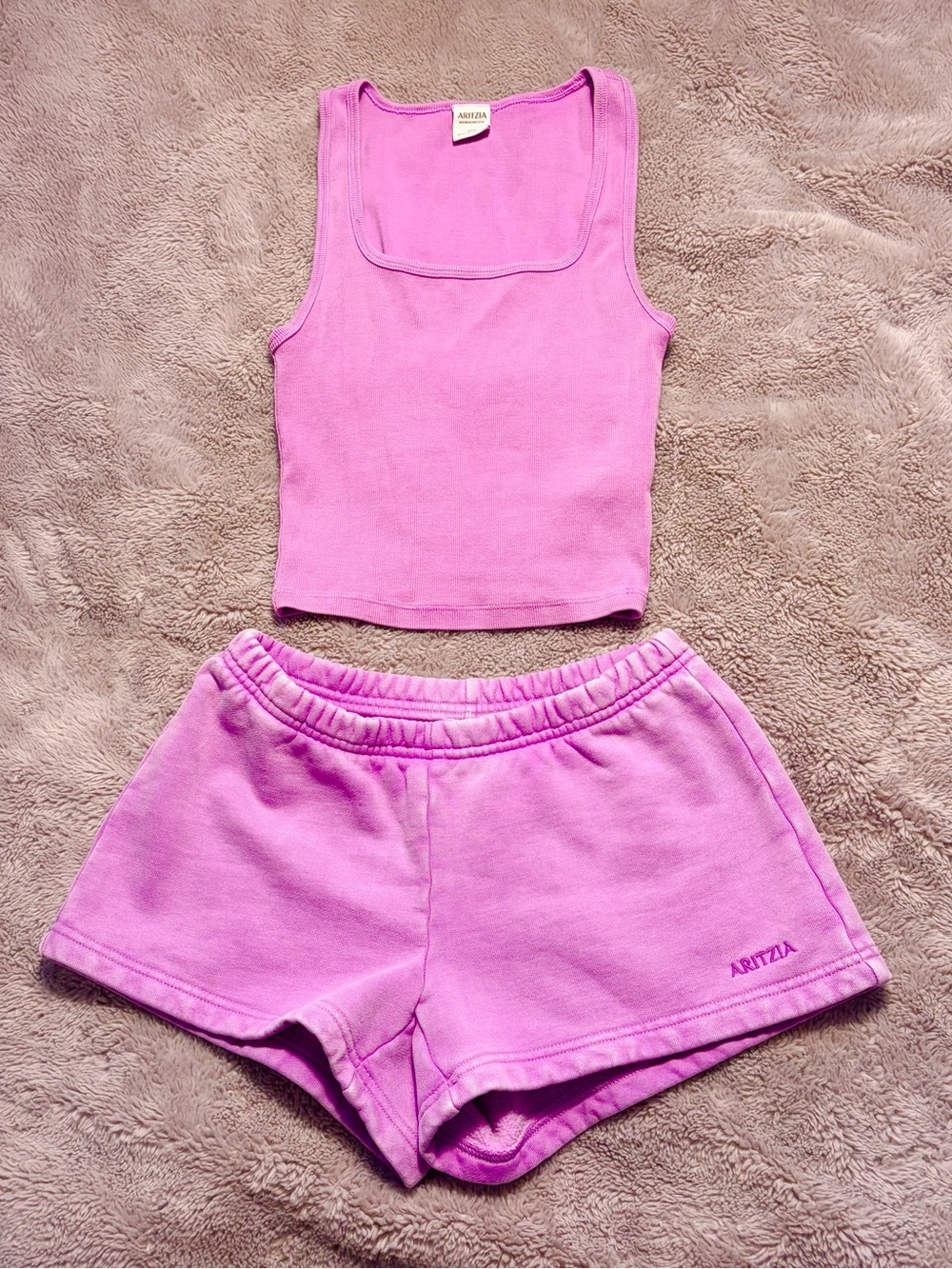 Aritzia Tank Top & Sweat Shorts Set